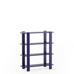 LIGO 4 bookcase TAMO