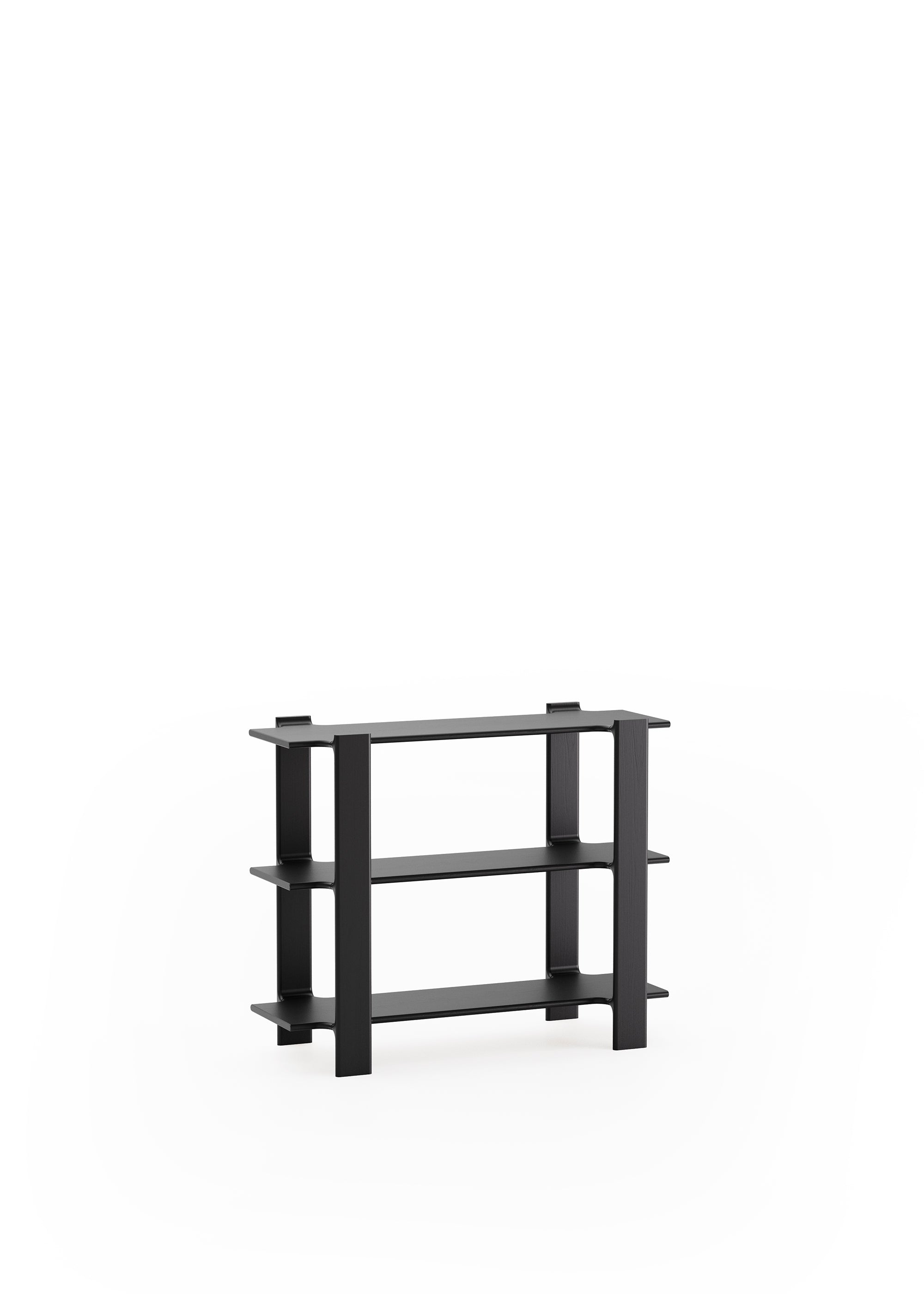 LIGO 3 bookcase TAMO